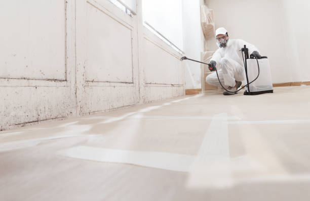 24/7 Emergency Crawl Space Mold Remediation experts in Mickleton, NJ